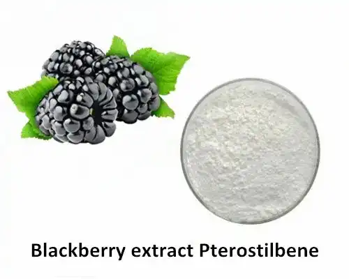 product-1-1 product-1-1