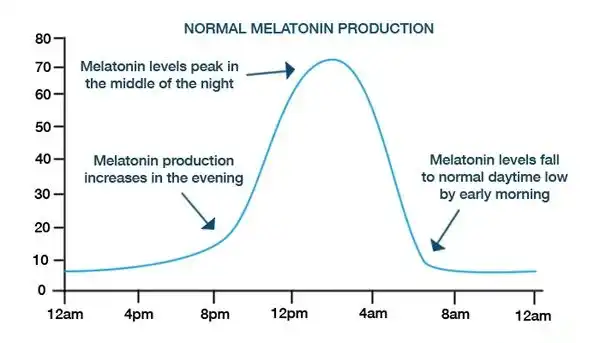 Melatonin Melatonin