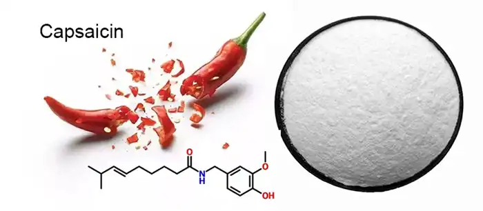 Capsaicin powder Capsaicin powder