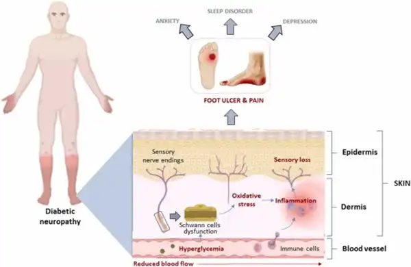 Capsaicin benfits Capsaicin benfits