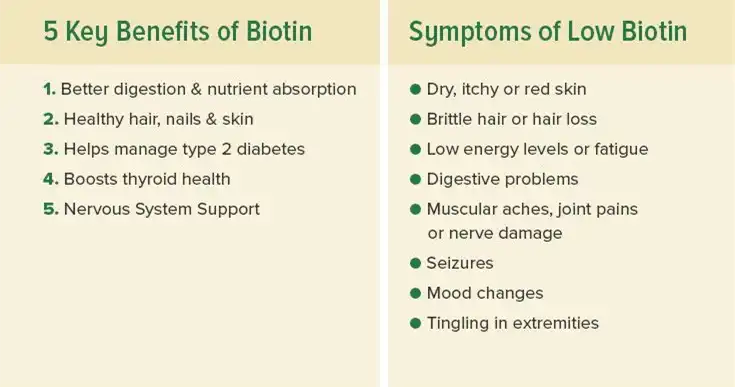 D Biotin benefits D Biotin benefits