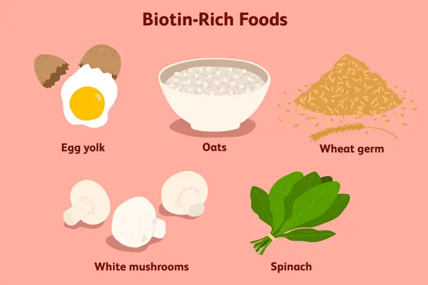 the source of BIOTIN the source of BIOTIN