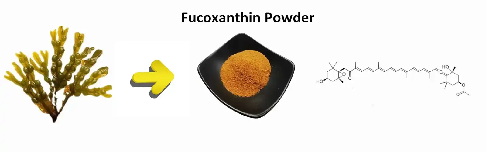 Fucoxanthin Powder Fucoxanthin Powder