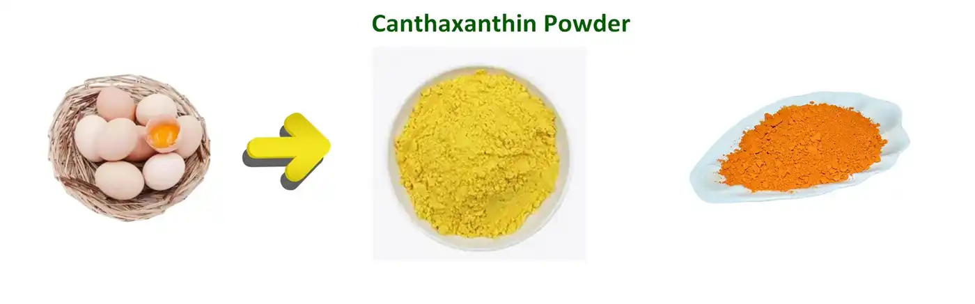 Canthaxanthin Powder Canthaxanthin Powder