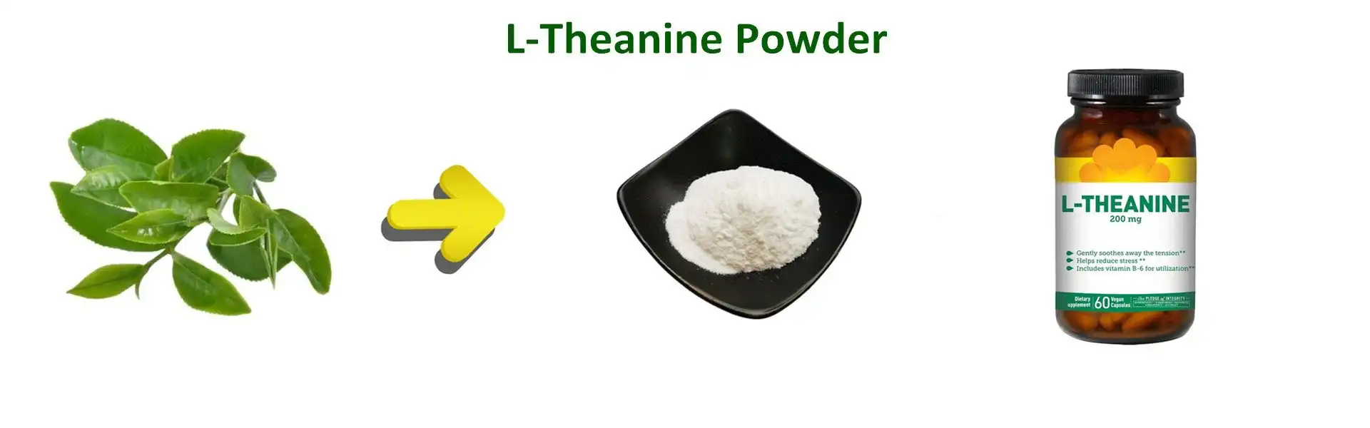 L-Theanine Powder L-Theanine Powder
