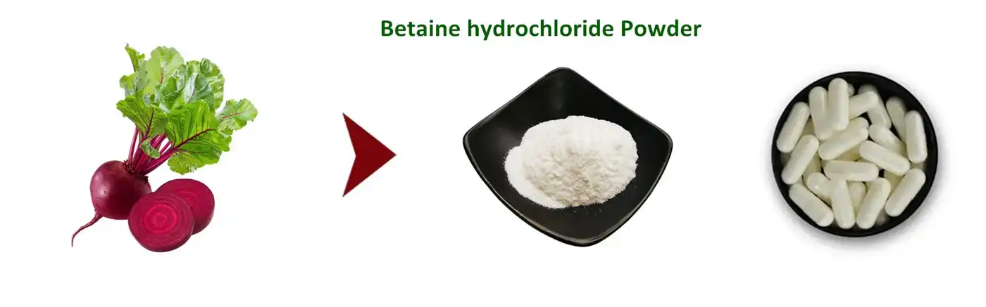 Betaine hydrochloride powder Betaine hydrochloride powder