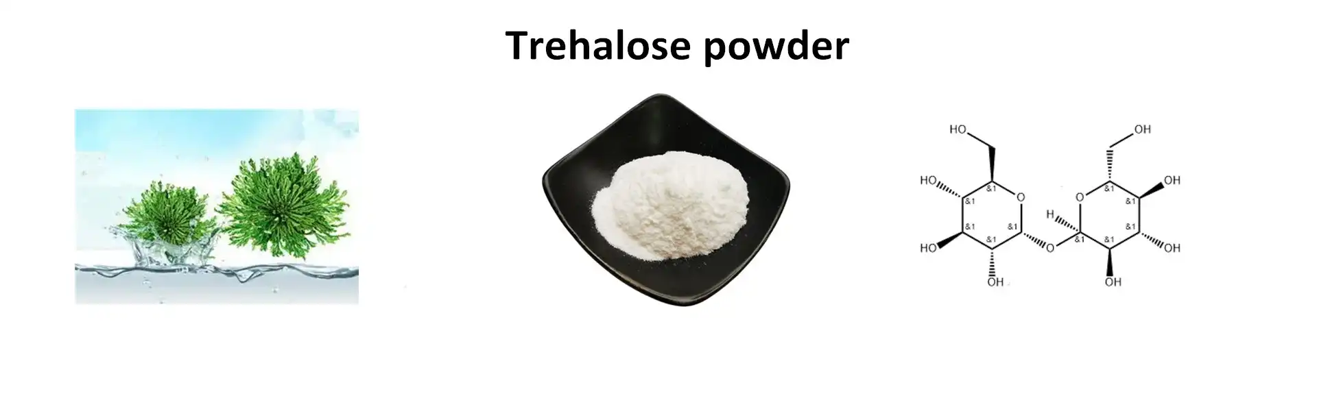 Trehalose Powder Trehalose Powder