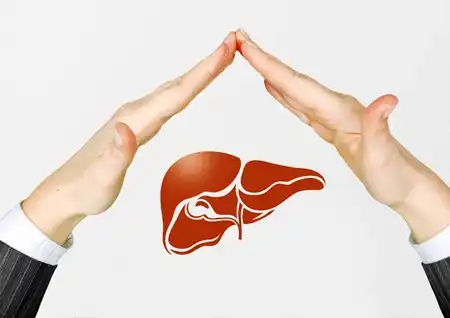 Lipoic Acid powder benefits
