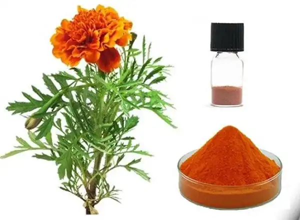 Lutein Powder