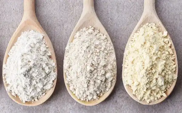 Sunflower Lecithin powder