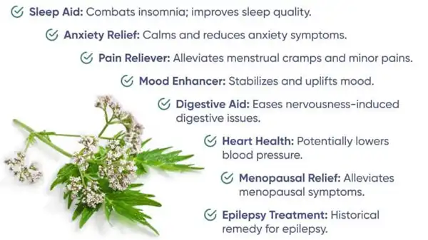 Valerian Root Extract benefits