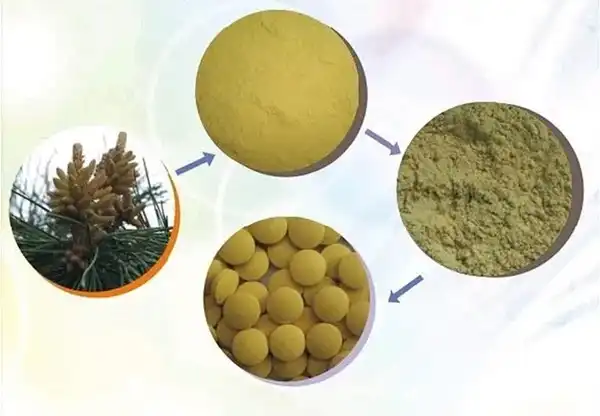 Pure pine pollen powder