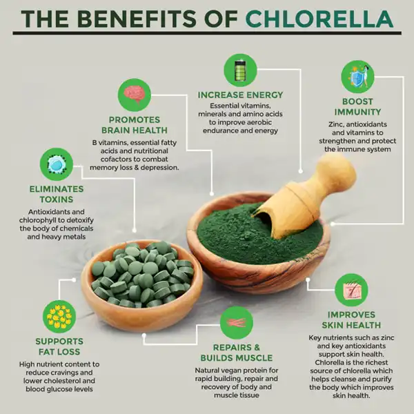 chlorella powder benefits chlorella powder benefits