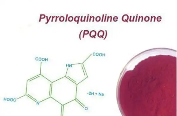 PQQ Powder PQQ Powder