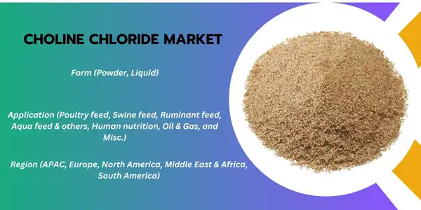 Choline Chloride Choline Chloride