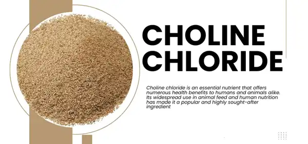 Choline Chloride bulk Choline Chloride bulk