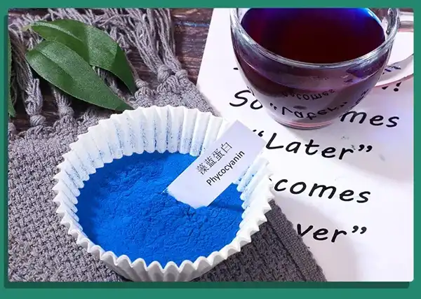 Phycocyanin Powder