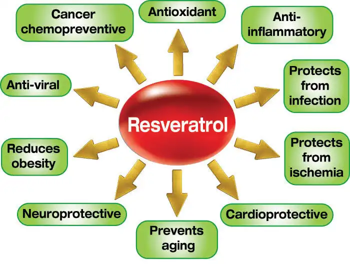 Resveratrol benefits
