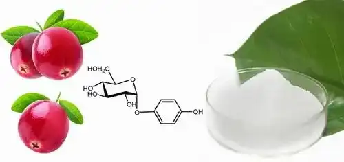 Arbutin Powder Arbutin Powder