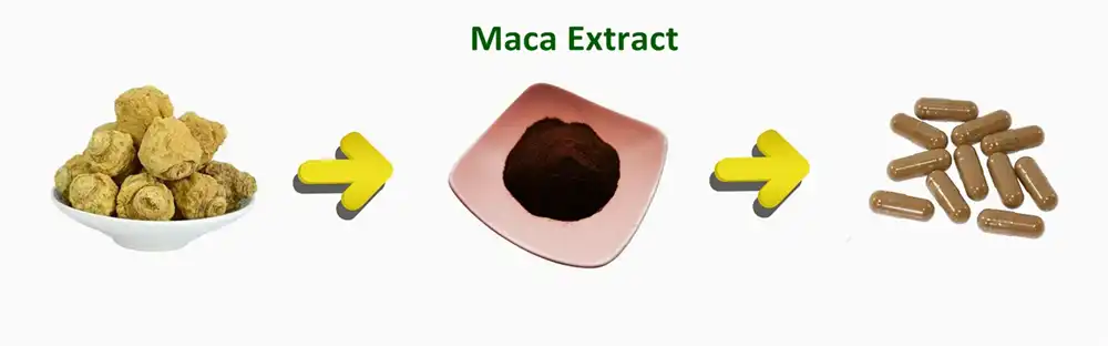 maca extract maca extract