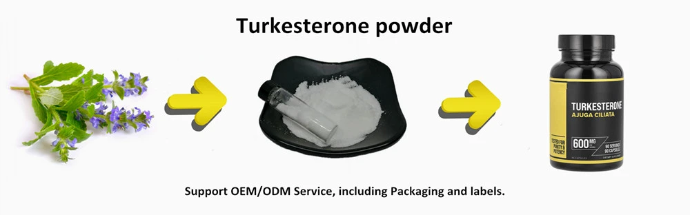 Turkesterone powder Turkesterone powder