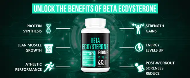 Beta Ecdysterone Powder Beta Ecdysterone Powder