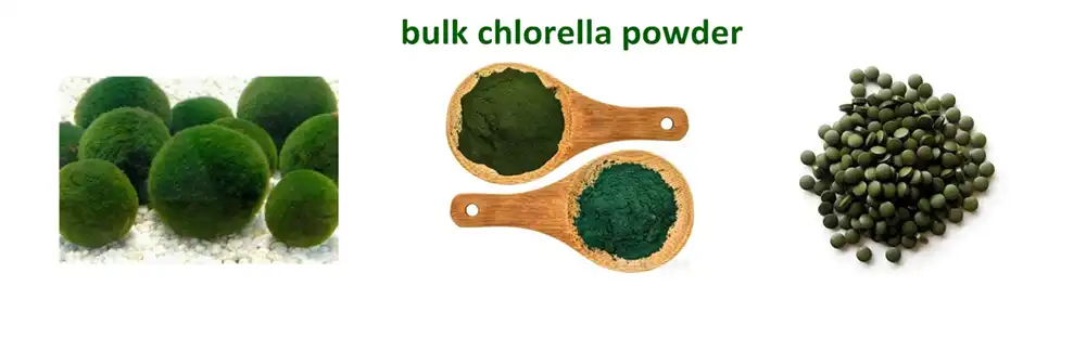 Bulk Chlorella Powder Bulk Chlorella Powder