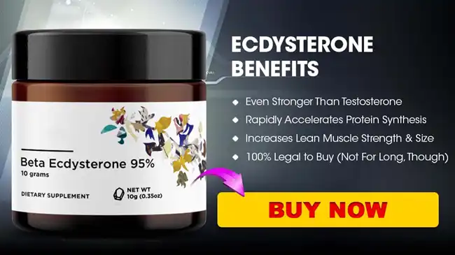 Beta Ecdysterone benefits Beta Ecdysterone benefits