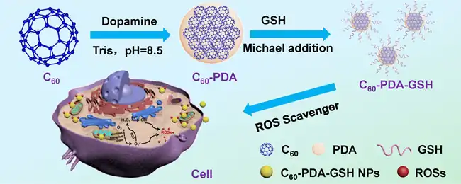 C60 Fullerene C60 Fullerene