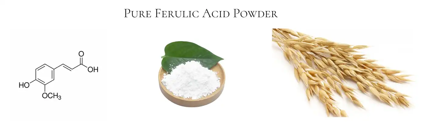 Ferulic Acid Powder Ferulic Acid Powder