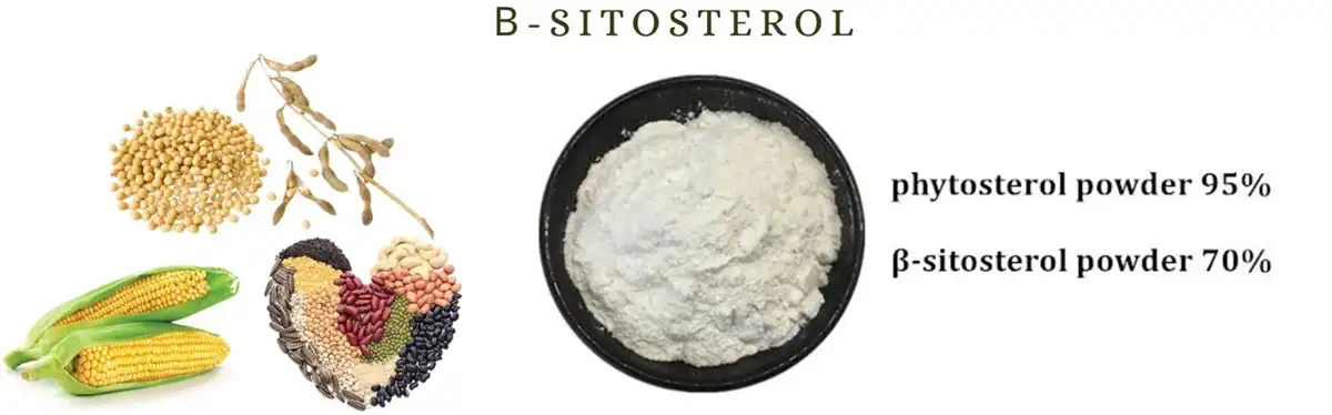 Beta Sitosterol powder Beta Sitosterol powder