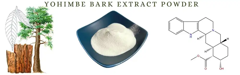 Yohimbe Bark Extract Yohimbe Bark Extract
