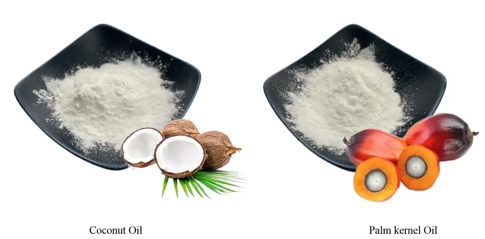 Coconut MCT Powder Coconut MCT Powder