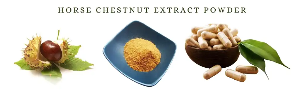 Horse Chestnut Extract Horse Chestnut Extract