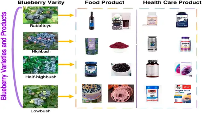 Pterostilbene supplement Pterostilbene supplement