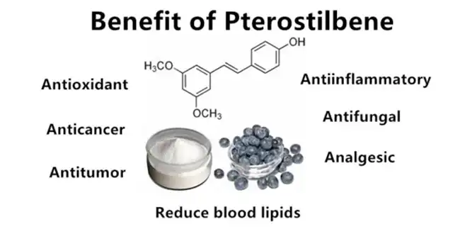 Pterostilbene benefits Pterostilbene benefits