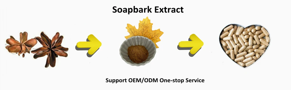 Soapbark extract Soapbark extract