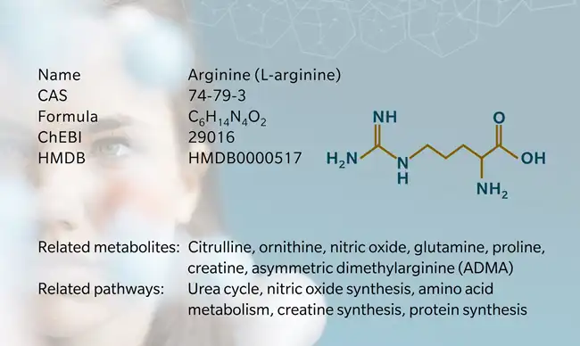 L-Arginine L-Arginine