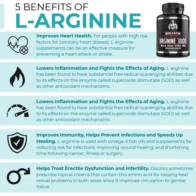 L-arginine  benefits L-arginine  benefits