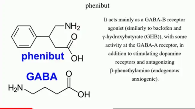 What is Phenibut What is Phenibut