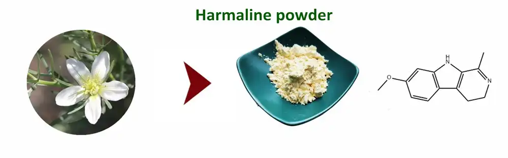Harmaline Powder Harmaline Powder
