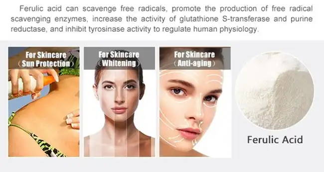 ferulic acid powder ferulic acid powder