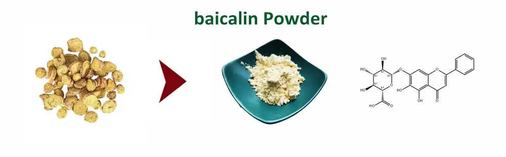 baicalin Powder baicalin Powder