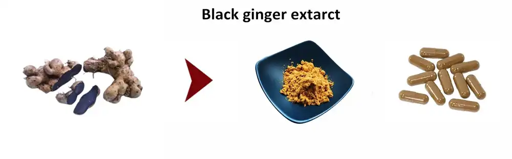 black Ginger extract black Ginger extract