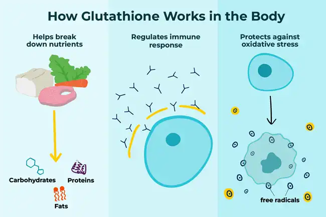 L Glutathione  L Glutathione