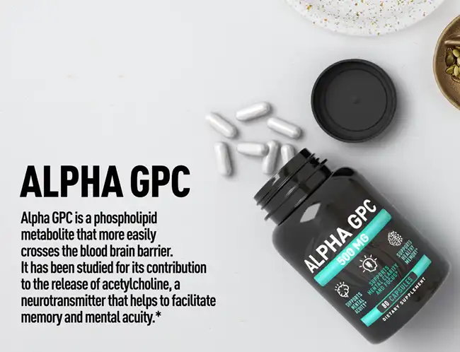 alpha gpc alpha gpc