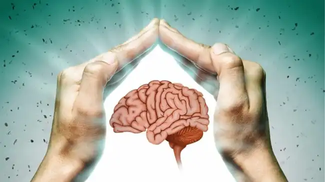 alpha gpc application alpha gpc application