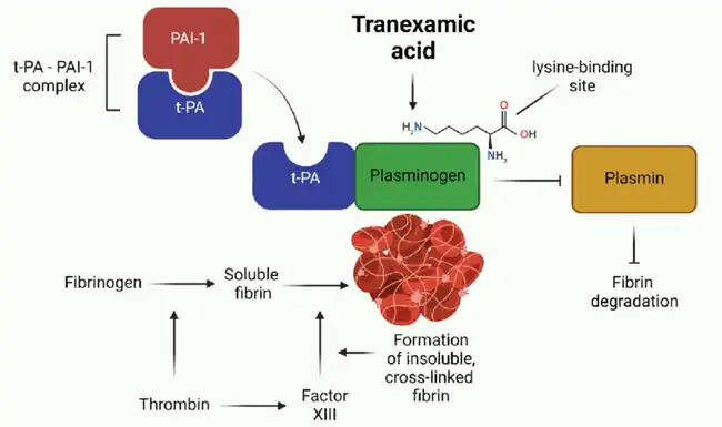 Tranexamic Acid bulk Tranexamic Acid bulk