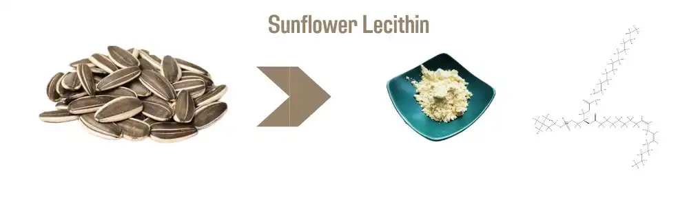 Sunflower Lecithin Sunflower Lecithin