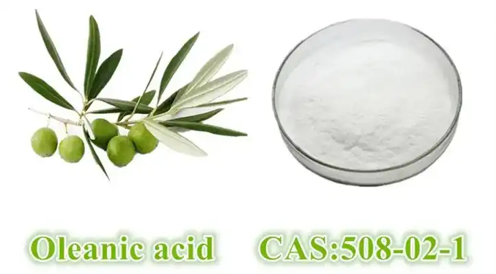 Oleanolic Acid Powder Oleanolic Acid Powder